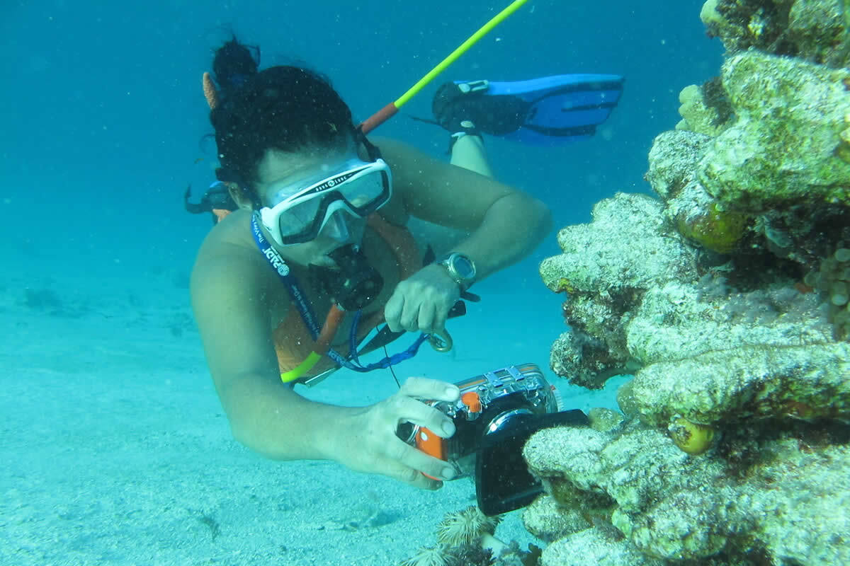 power-adventures-diving-bavaro-9