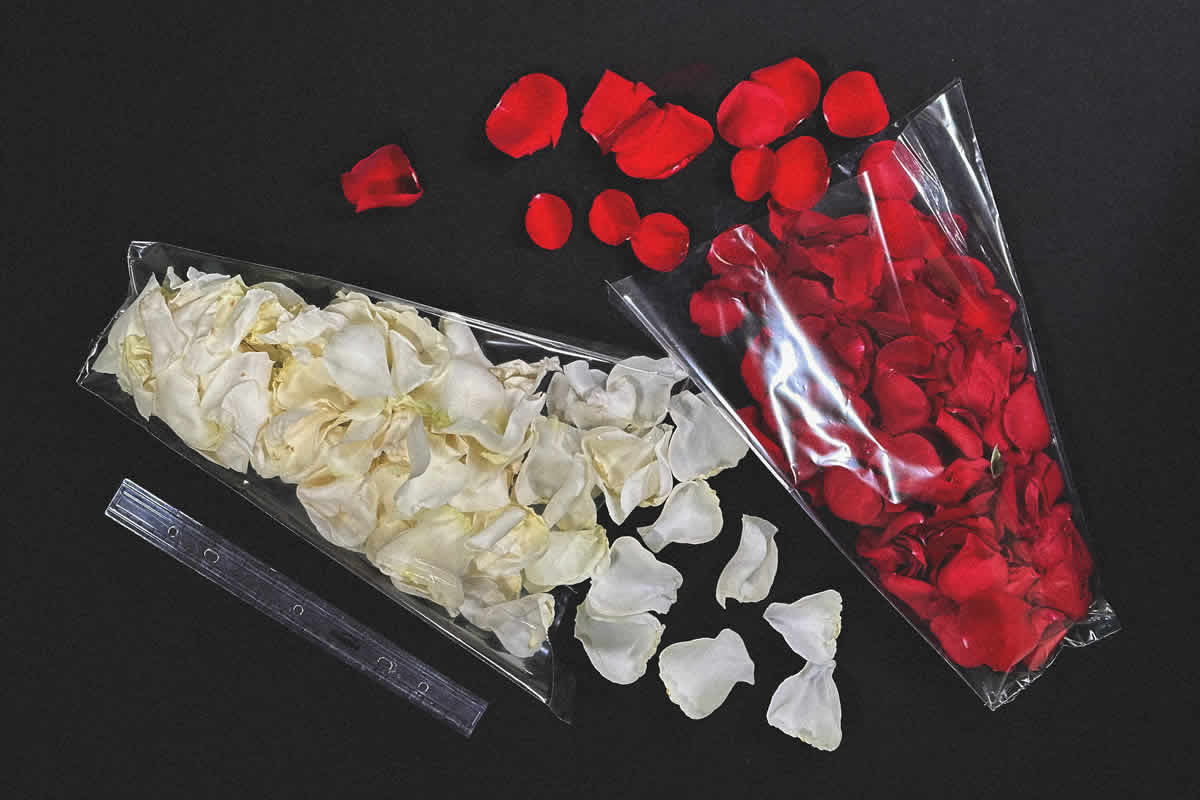 mercaflor-ramos-flores-flowers-bavaro-punta-cana-9