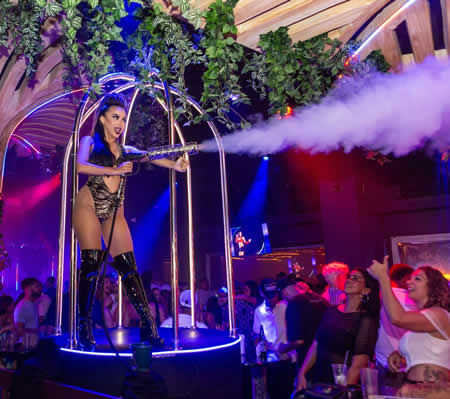 Congo Bar Gold Member